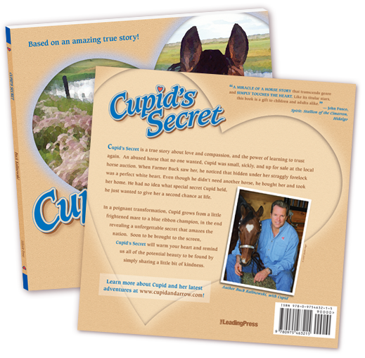 Cupid's Secret - Front and Back Cover